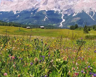 View Lavarella Conturines Stores Pralongia Alta Badia dolomites